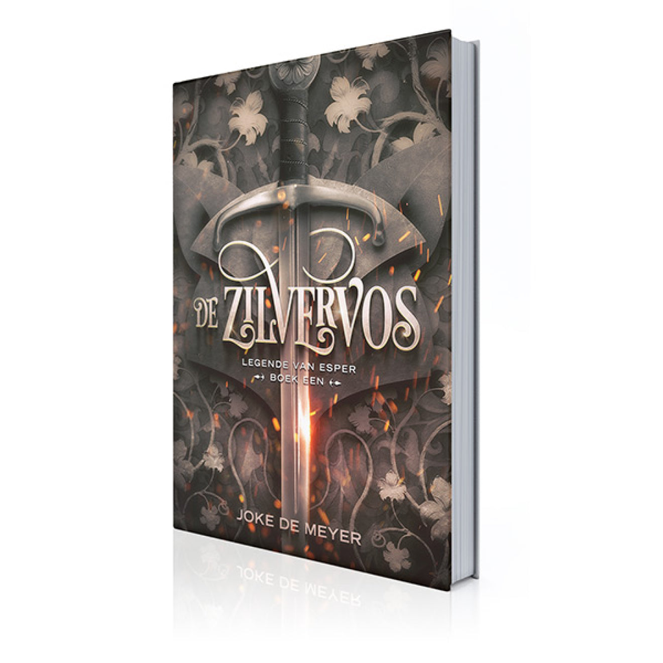 Paperback De Zilvervos